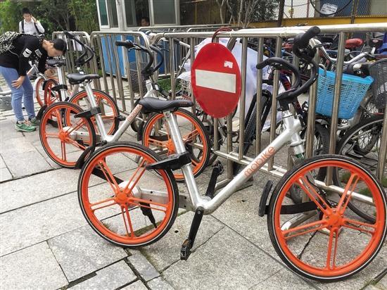 網(wǎng)約單車尷尬：車身貼騙錢二維碼，管理靠“獵人”