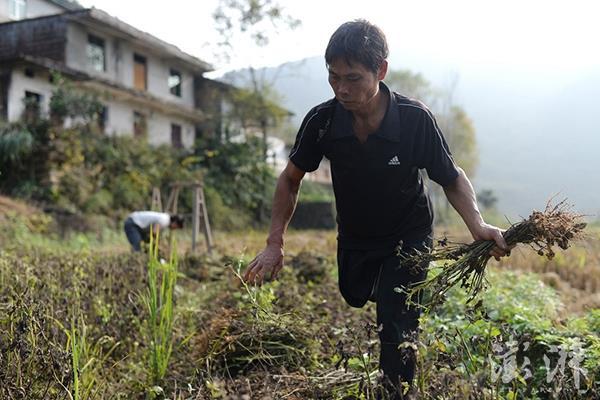 “小馬云”之父：網(wǎng)上都是謠言！讀書才能改變命運