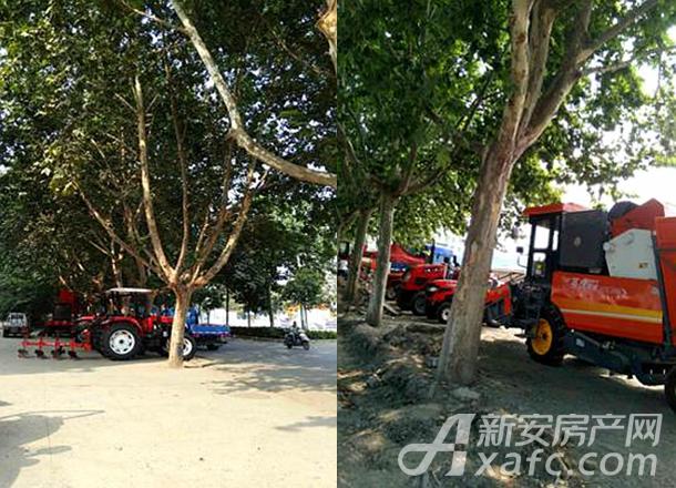 皖北機(jī)械裝備城農(nóng)機(jī)客戶交流會(huì)