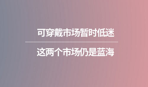 可穿戴市場(chǎng)暫時(shí)低迷 這兩個(gè)市場(chǎng)仍是藍(lán)海