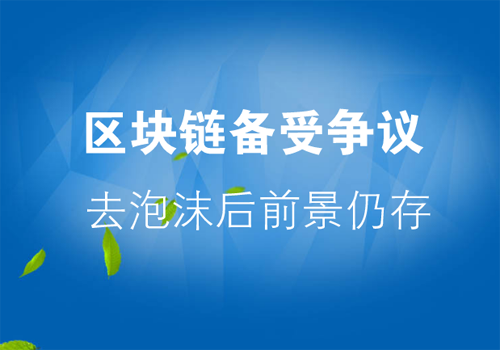 區(qū)塊鏈技術(shù)備受爭(zhēng)議 去泡沫后前景仍存