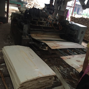 從圓木到板皮，你需要知道的幕后制造絕招