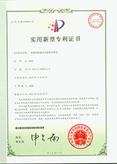 旋轉(zhuǎn)機(jī)械腔式無(wú)接觸密封專利