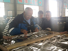 德國(guó)廠里檢驗(yàn)貨物21